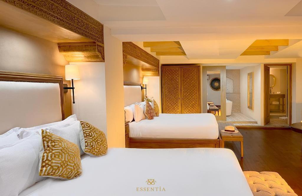 The Essentia Hotel San Miguel ซานมิเกล เด อาเญนเด ภายนอก รูปภาพ