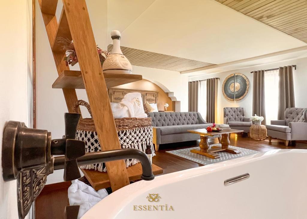 The Essentia Hotel San Miguel ซานมิเกล เด อาเญนเด ภายนอก รูปภาพ