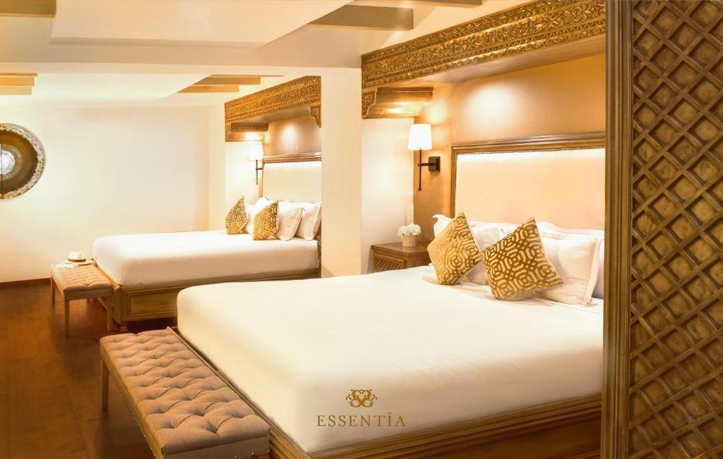 The Essentia Hotel San Miguel ซานมิเกล เด อาเญนเด ภายนอก รูปภาพ