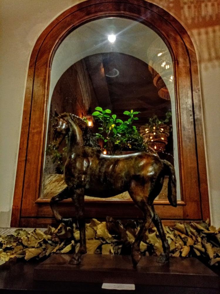 The Essentia Hotel San Miguel ซานมิเกล เด อาเญนเด ภายนอก รูปภาพ